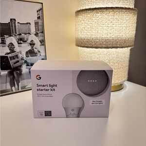 Google Mini Smart Light Kit with Cord